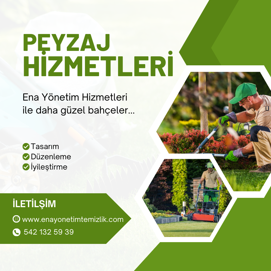 Bahçe Bakım Ve Peyzaj
